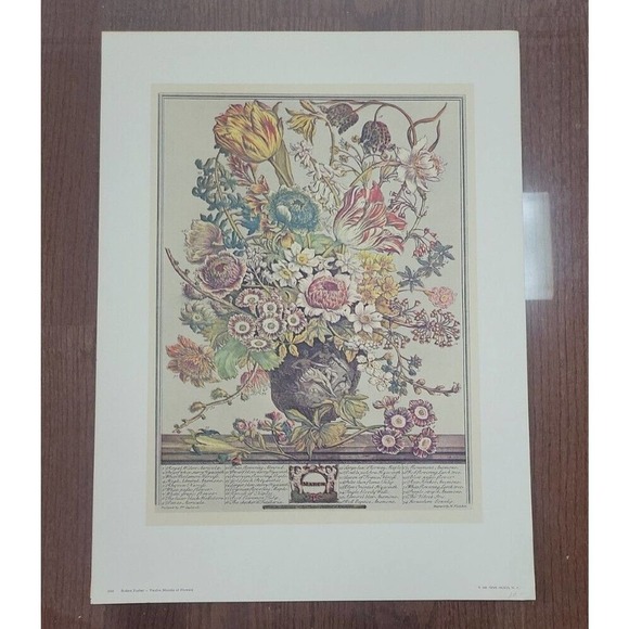 Rob Furber Gardiner At Kensington 1730 H. Fletcher "March" Month Of Flowers